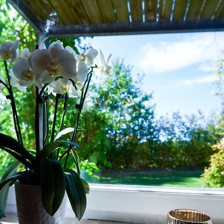 Nice Flat With Sauna Covered Terrace Garden And Tree House For Children Zandt Buitenkant foto